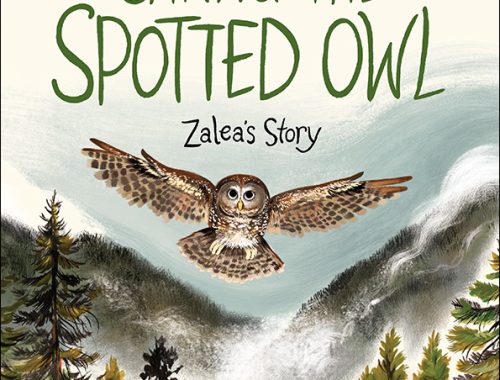 Cover of the book Saving the Spotted Owl by Nicola Jones.